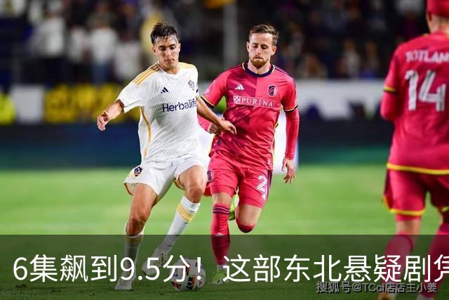 6集飙到9.5分！这部东北悬疑剧凭什么让观众夜不能寐？